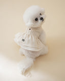 Pintuck Dress · Ivory