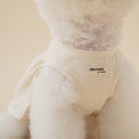 Pintuck Dress · Ivory