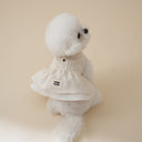 Pintuck Dress · Ivory
