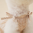 <h4><em><strong>PETS DESERVE A WARDROBE TOO.</strong></em></h4>