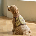 'A' Stitch Crop Top · Brown