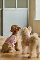<h4><em><strong>EVERYTHING YOUR PET DESERVES.</strong></em></h4>