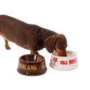 ABC™ Ceramic Pet Food Bowl