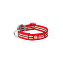 ABC™ Stripe Dog Collar