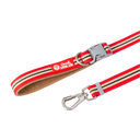 ABC™ Stripe Collar & Leash Set