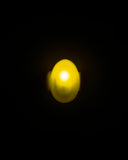 Ain™ Light · Sunlit