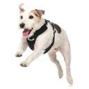 Ardor™ Harness · Black