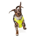 Ardor™ Harness · Lemon