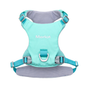 Ardor™ Harness · Mint