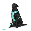Ardor™ Harness · Mint