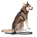 Ardor™ Leash · Black