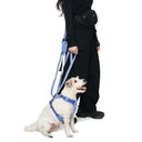 Ardor™ Leash · Blue Stone