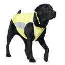 Coore™ Top · Lime