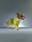 MonoLight™ Suit · Citrus