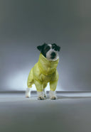 MonoLight™ Suit · Citrus