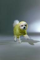 MonoLight™ Suit · Citrus