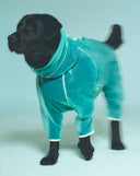 <h2><em><strong>ENGINEERED FOR DAILY WEAR.</strong></em></h2><h6><br/>Lightweight, breathable, and impossibly cute.</h6>