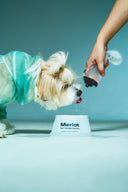 <h2>MERLOT</h2>