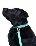Posy™ Collar · Forest