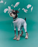 Posy™ Collar · Forest