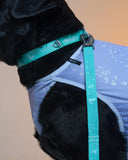 Posy™ Leash · Forest