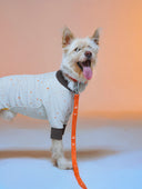 Posy™ Leash · Tanger